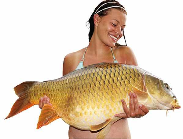 fetele - carpgirl.jpg